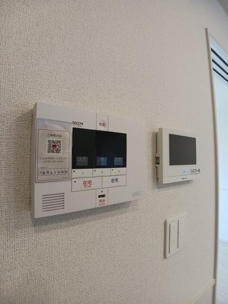 アイリス　パディ
