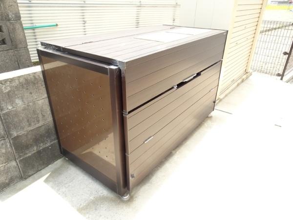 シンシアナガセ