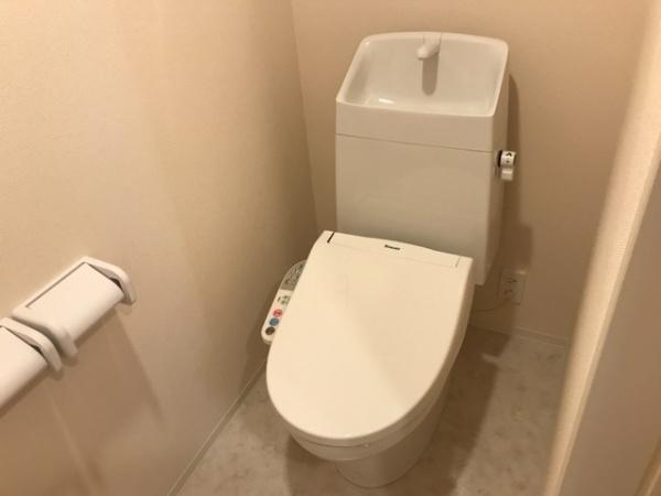 カミーノ