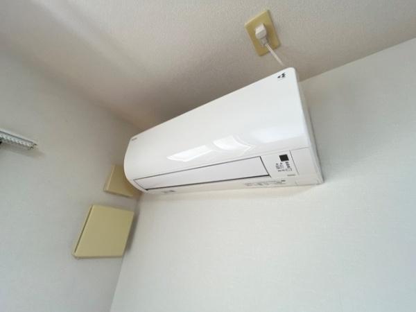 カトレア
