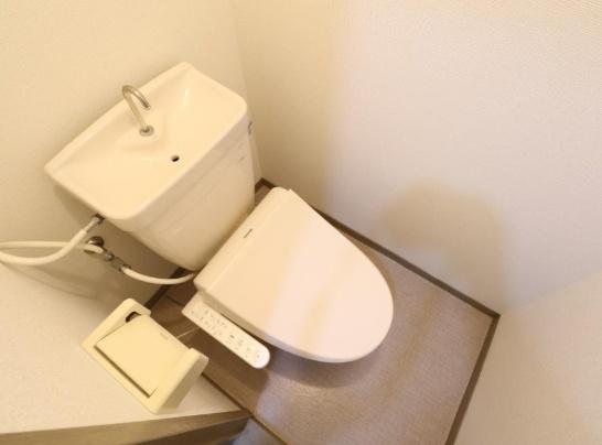 グレースエントピア