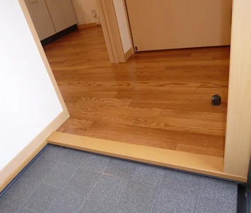 カンパーニャ・エフB