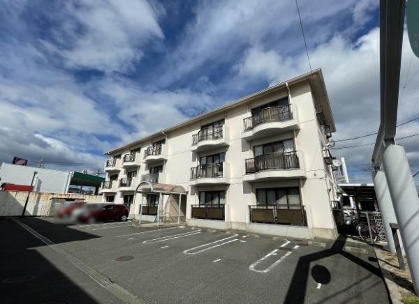 ハイムティファニーA