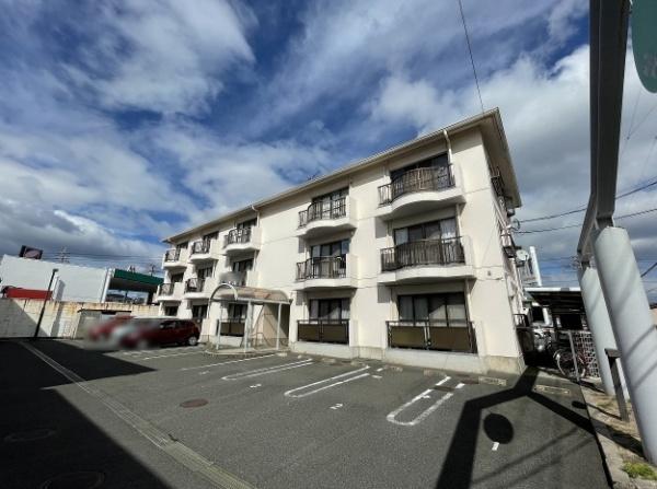 ハイムティファニーA