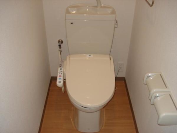 センチュリーカーサ
