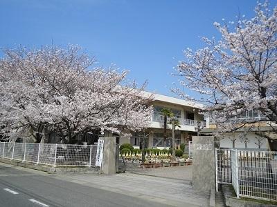 パーシモン(総社市立清音小学校)