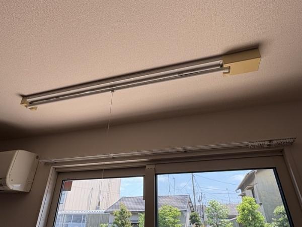 セント　レイ