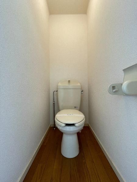 サンシャイン