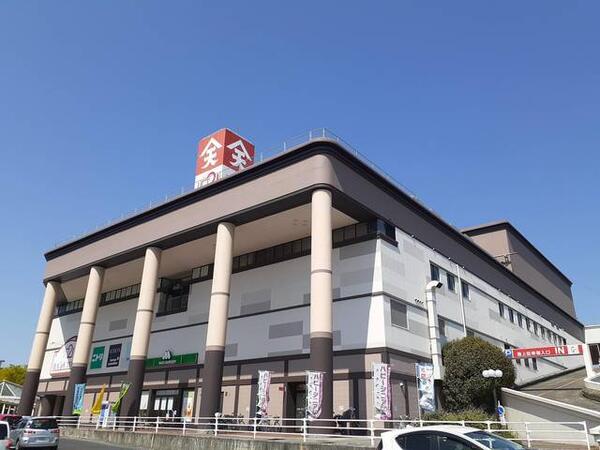 フェリシダ矢蔵　３