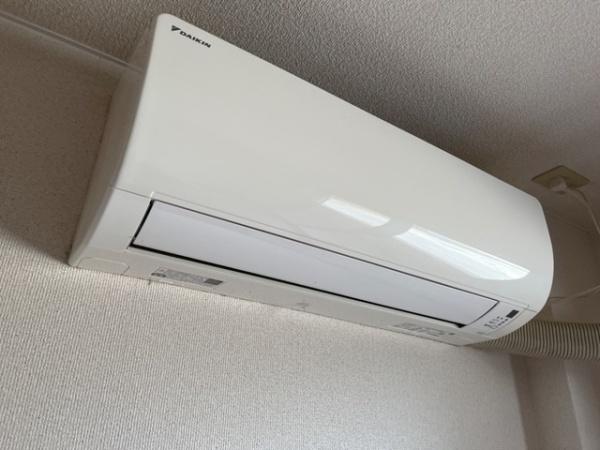 ノエル