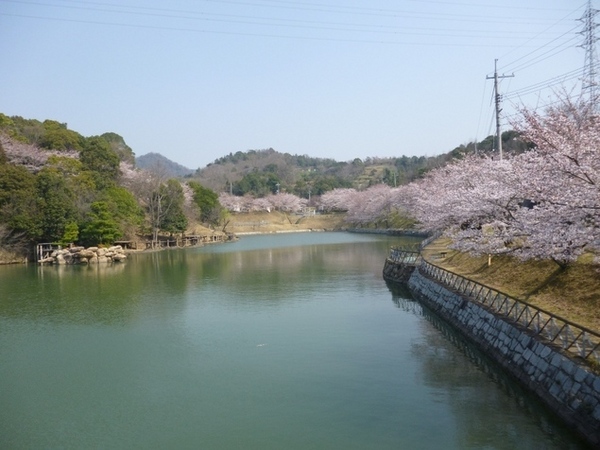 パインツリーB(里見川緑地)