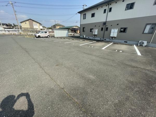 パインツリーB