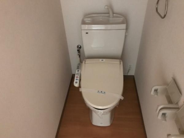 センチュリーカーサ