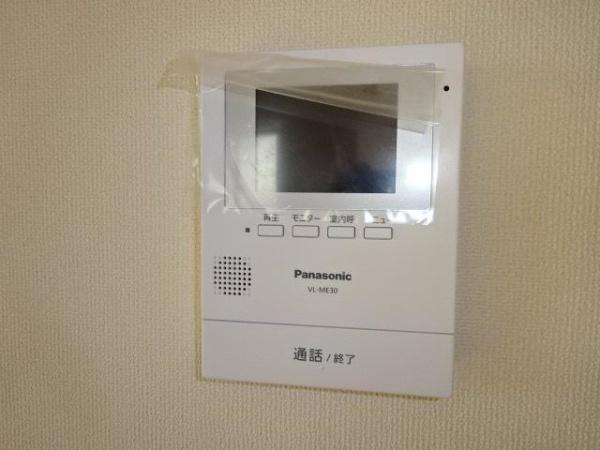 クスノキ