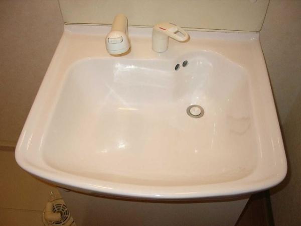 オレンジペコー