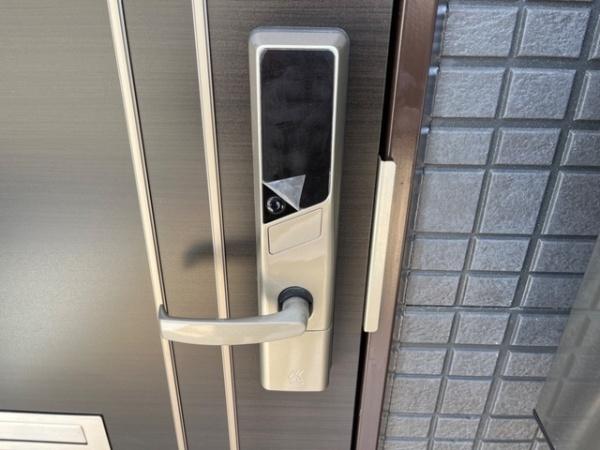 ハイバード