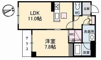 コモンドーレ
