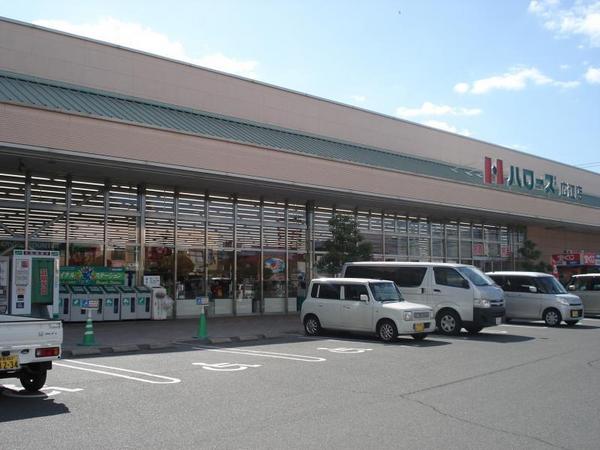 ディアコートⅠ(ハローズ広江店)