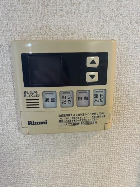 ブルーベリー　B