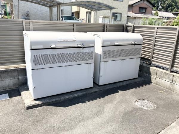ウィットB