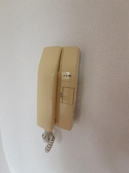ジュンサンライト