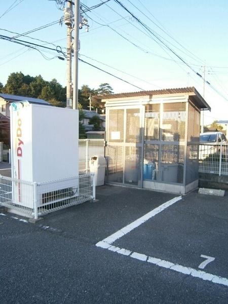 ピュシス