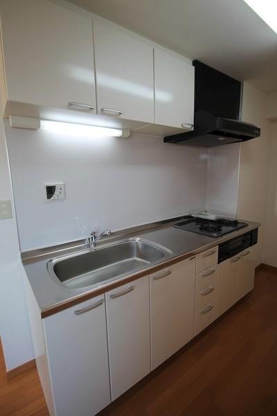 草加市栄町3丁目のマンション(キッチン)