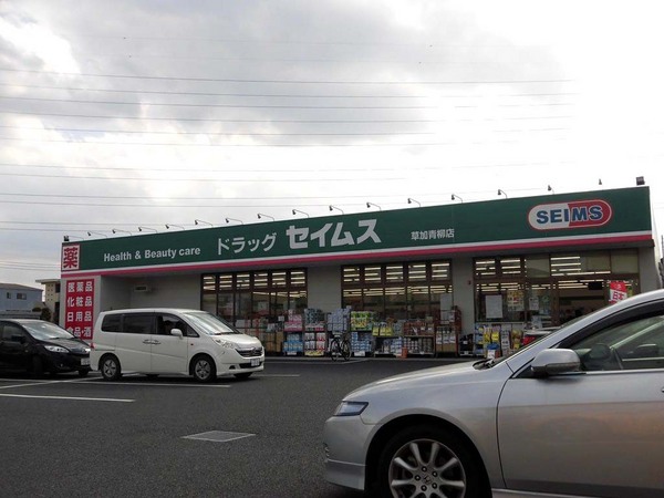 草加市青柳8丁目のアパート(ドラッグストアセキ青柳店)