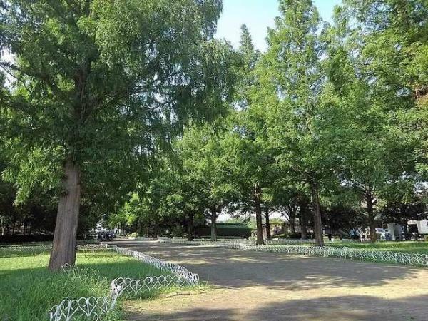 草加市青柳８丁目のアパート