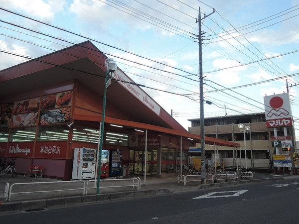 草加市草加3丁目のマンション(マルヤ草加松原店)
