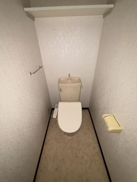 TOWAハイネス