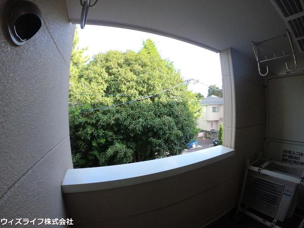 スプリング　スター