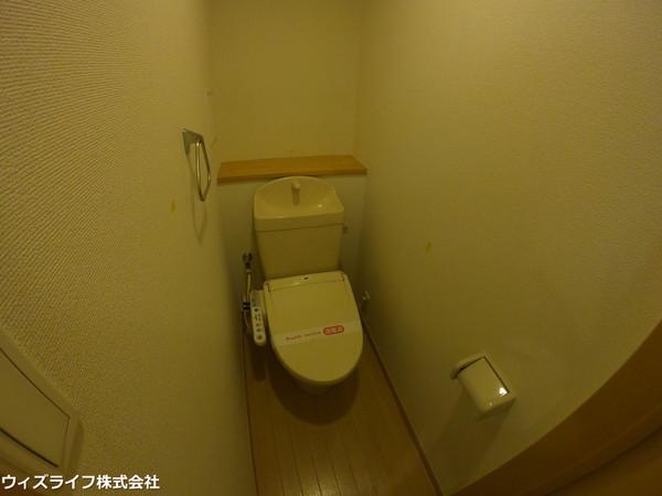 スプリング　スター