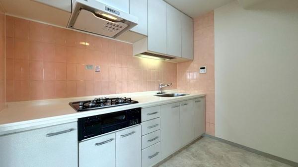 越谷市蒲生南町のマンション