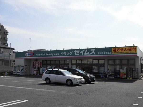 FLEX413(ドラッグセイムス草加氷川町薬局)