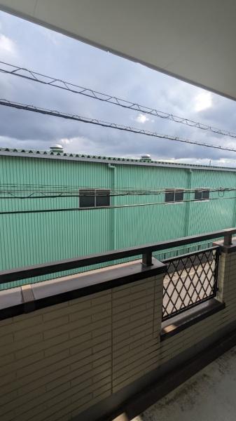 ロイヤルグリーン