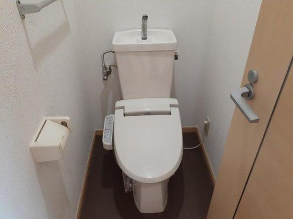 ワンダース