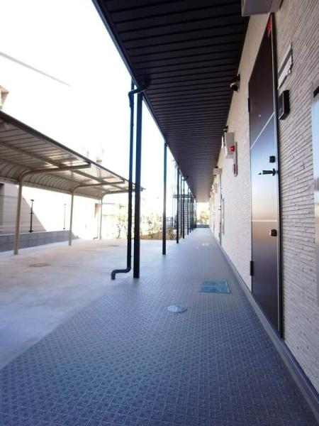 リブリ・クレラーレ