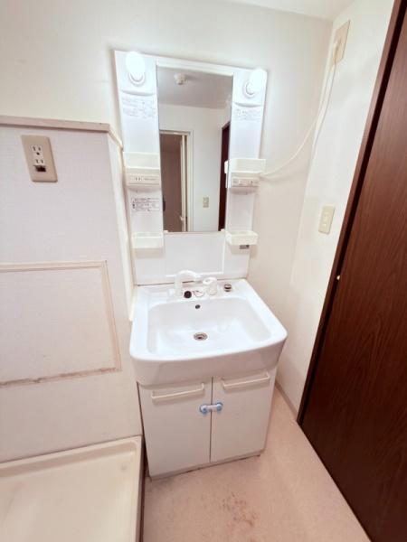 サウスヒルズAoyagi(洗面台・洗面所)