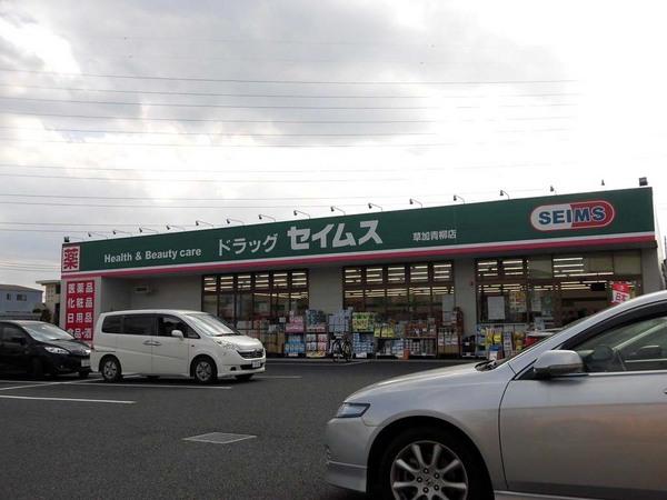 サウスヒルズAoyagi(ドラッグストアセキ青柳店)