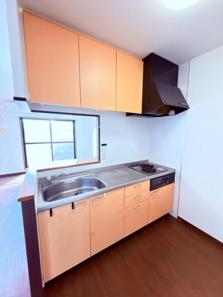 サウスヒルズAoyagi(キッチン)