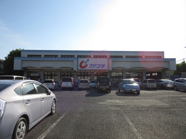 クイーンズハイツ金明(カワチ薬品新田駅前店)