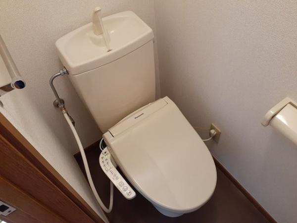 セントラルバーシヤＢ