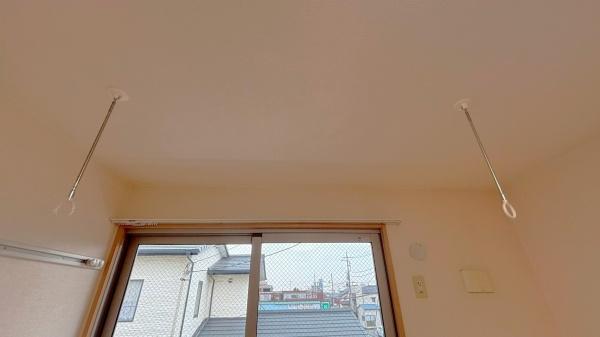 シーガル