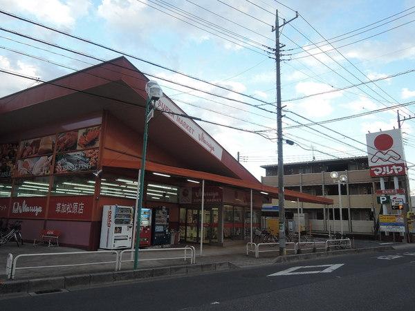 アムールA棟(マルヤ草加松原店)