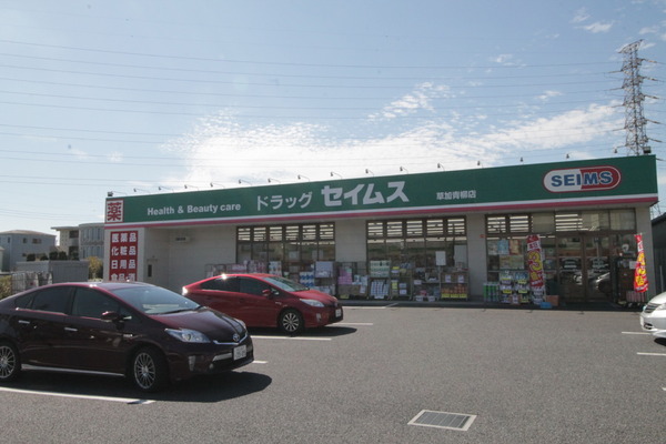 パレス篠宮（西）(ドラッグセイムス草加青柳店)