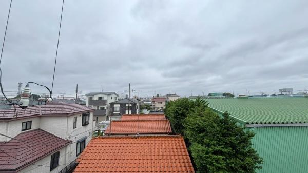 ロイヤルグリーン