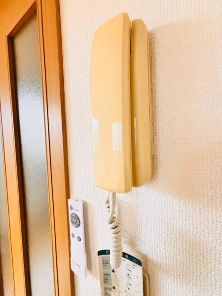 ホワイトドルフィン