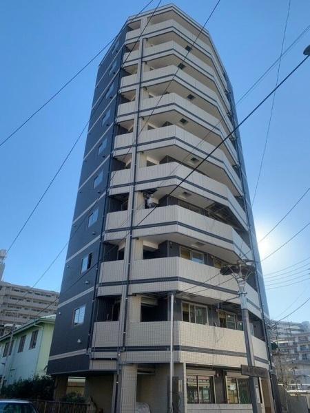 SkyDokkyo