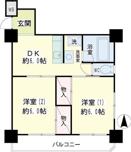 コートアオイ